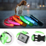 led glowing pet collar