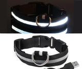 Adjustable Light Up LED Glowing Pet Collar for Dogs & Cats