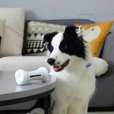 Pet Induction Interactive Toy: App-Controlled Fun for Dogs and Cats