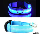 Adjustable Light Up LED Glowing Pet Collar for Dogs & Cats