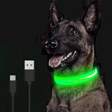 Adjustable Light Up LED Glowing Pet Collar for Dogs & Cats