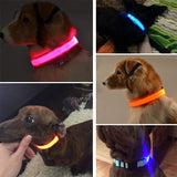 Adjustable Light Up LED Glowing Pet Collar for Dogs & Cats