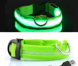 Adjustable Light Up LED Glowing Pet Collar for Dogs & Cats