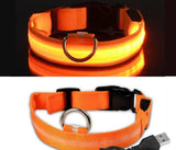 Adjustable Light Up LED Glowing Pet Collar for Dogs & Cats