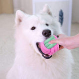 Pet Dog Chew Toys: Durable, Toothbrush-Equipped, Stimulating Fun