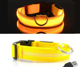 Adjustable Light Up LED Glowing Pet Collar for Dogs & Cats