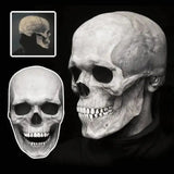 Human Skeleton Mask For Halloween Party